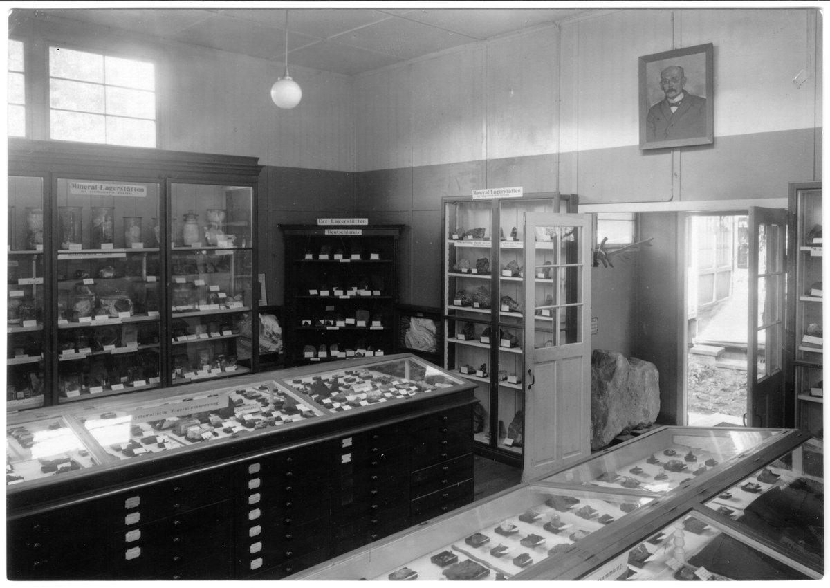 Blick in die Sammlung des Geologischen Instituts
