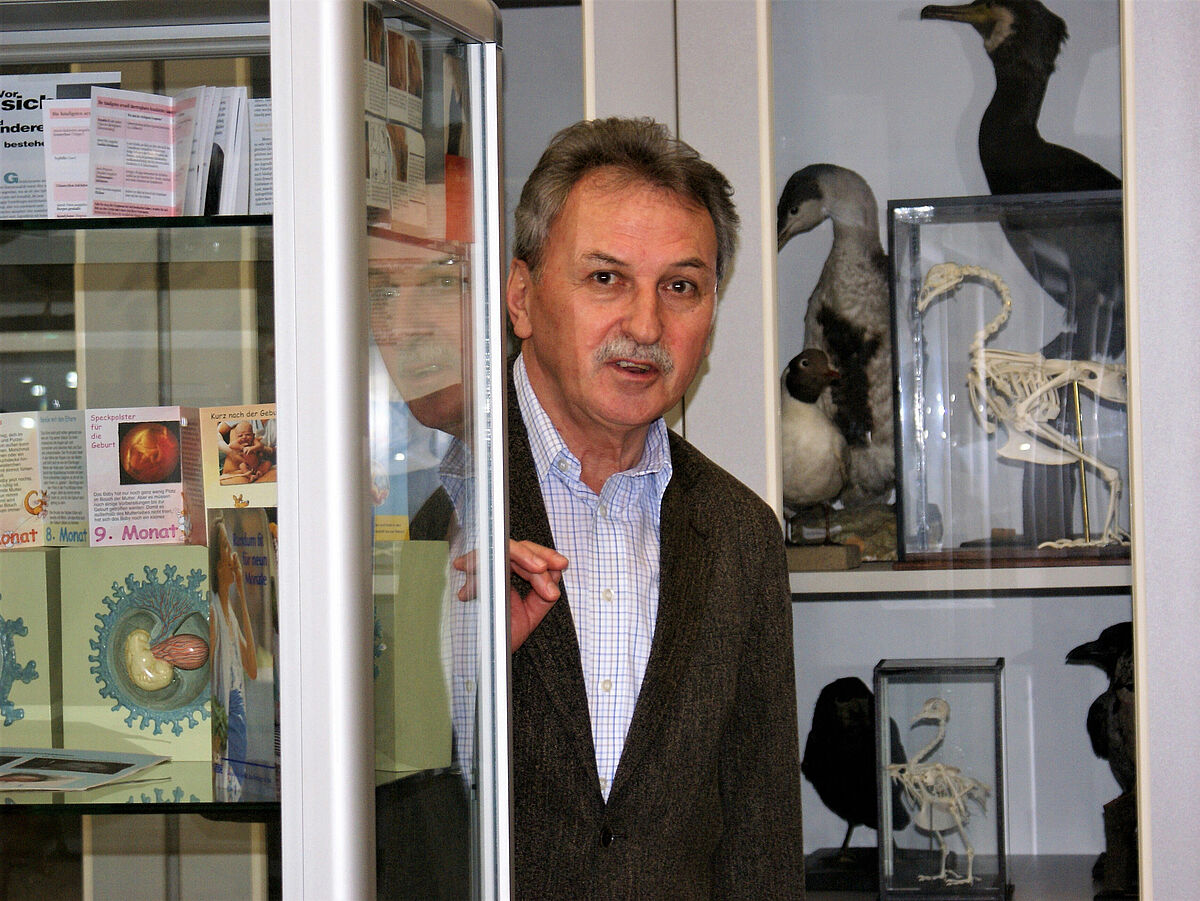 Frank Horn beim Auswerten studentischer Ideen zur Vitrinen-Gestaltung in der biologiedidaktischen Mediensammlung am Universitätsplatz 4 (Foto: privat, 2010).