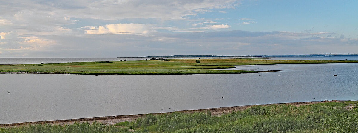 Blick vom Gollwitzer Strand auf die Insel Langenwerder (Foto: G. Fulda, 2010).